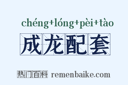 成龙配套是什么意思的图片